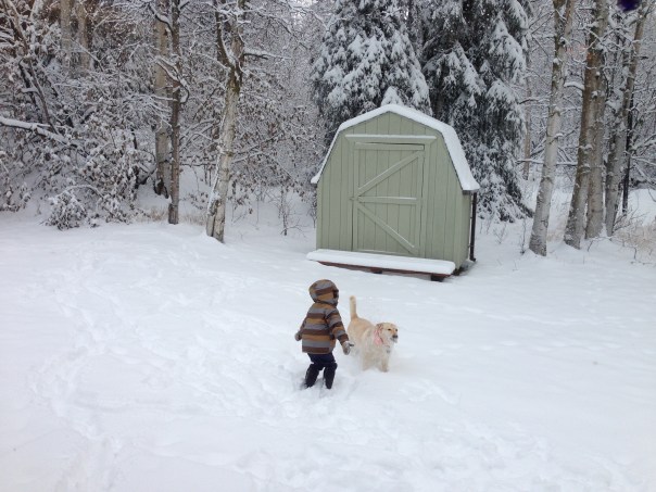 Playing in the backyard